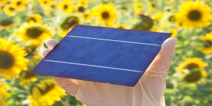 Solar cell cover